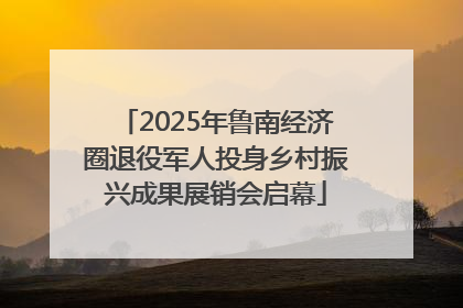 2025年鲁南经济圈退役军人投身乡村振兴成果展销会启幕