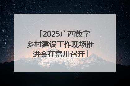 2025广西数字乡村建设工作现场推进会在富川召开