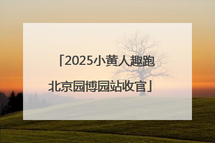 2025小黄人趣跑北京园博园站收官