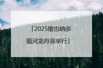 2025维也纳多瑙河龙舟赛举行