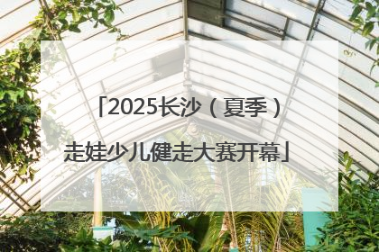 2025长沙（夏季）走娃少儿健走大赛开幕