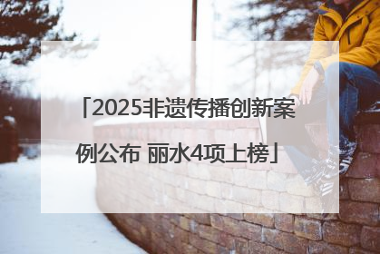 2025非遗传播创新案例公布 丽水4项上榜