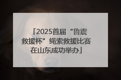2025首届“鲁震救援杯”绳索救援比赛在山东成功举办
