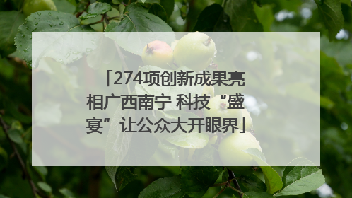 274项创新成果亮相广西南宁 科技“盛宴”让公众大开眼界