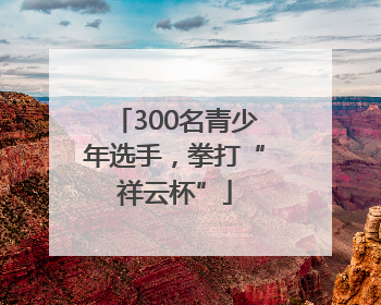 300名青少年选手，拳打“祥云杯”
