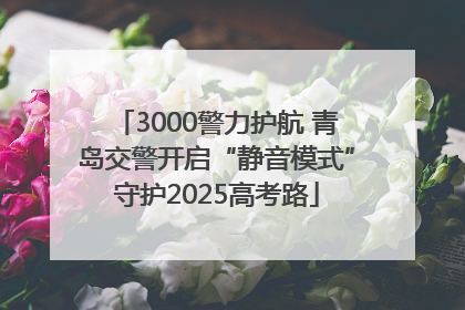 3000警力护航 青岛交警开启“静音模式”守护2025高考路