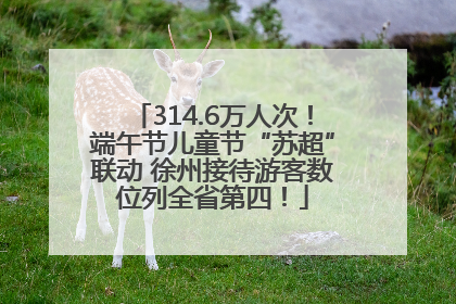 314.6万人次！端午节儿童节“苏超”联动 徐州接待游客数位列全省第四！