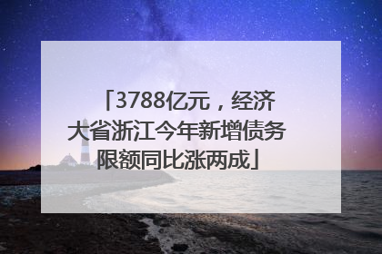 3788亿元，经济大省浙江今年新增债务限额同比涨两成