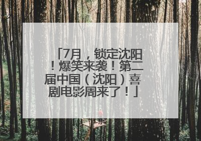 7月，锁定沈阳！爆笑来袭！第二届中国（沈阳）喜剧电影周来了！