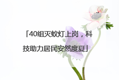 40组灭蚊灯上岗，科技助力居民安然度夏