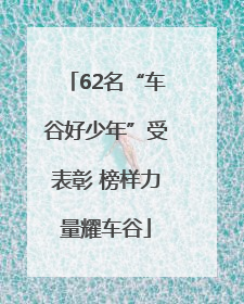 62名“车谷好少年”受表彰 榜样力量耀车谷