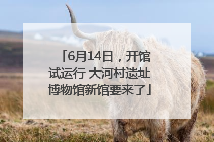 6月14日，开馆试运行 大河村遗址博物馆新馆要来了