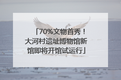 70%文物首秀！大河村遗址博物馆新馆即将开馆试运行