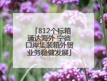 812个标箱通达海外 宁德口岸集装箱外贸业务稳健发展