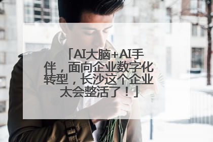 AI大脑+AI手伴，面向企业数字化转型，长沙这个企业太会整活了！