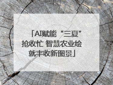 AI赋能“三夏”抢收忙 智慧农业绘就丰收新图景