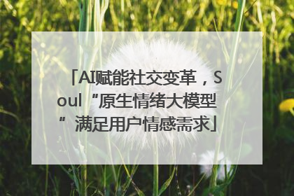 AI赋能社交变革，Soul“原生情绪大模型”满足用户情感需求