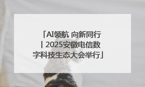AI领航 向新同行丨2025安徽电信数字科技生态大会举行