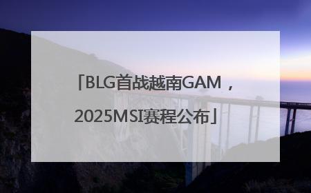 BLG首战越南GAM，2025MSI赛程公布