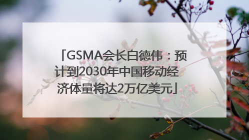 GSMA会长白德伟：预计到2030年中国移动经济体量将达2万亿美元