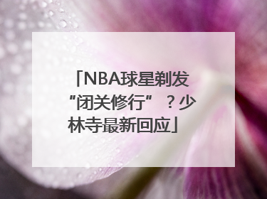 NBA球星剃发“闭关修行”？少林寺最新回应