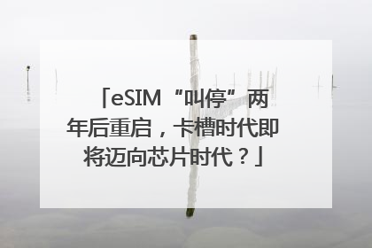 eSIM“叫停”两年后重启，卡槽时代即将迈向芯片时代？